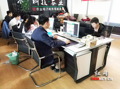 輸血變?cè)煅?衡陽市雁峰區(qū)以計(jì)算機(jī)技術(shù)培訓(xùn)為抓手，走深走實(shí)產(chǎn)業(yè)扶貧路